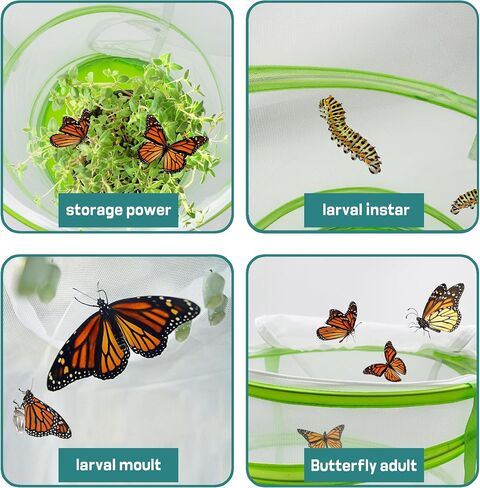 Butterfly Habitat Mesh Cage，12" x 14" Pop-up Breathable Insect Bug Net Butterflies Cage Tall (Green) in Kuwait