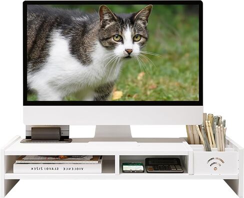 Catekro Monitor Stand Plastic Monitor Stand Desk Screen Riser Monitor Riser for Laptop PC Monitor (Black) in Kuwait