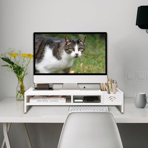 Catekro Monitor Stand Plastic Monitor Stand Desk Screen Riser Monitor Riser for Laptop PC Monitor (Black) in Kuwait