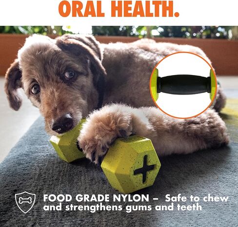 Max Fusion مصنوع من Nike Grind ، لعبة Dummbell Dog ، موزع الصفراء ، لعبة مطاطية مطاطية طبيعية لسلالات الكلاب الكبيرة والجرو ، صحة الأسنان ، اللغز ، لعب المكافآت ، لعبة التدريب in Kuwait