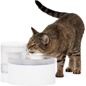 PetSafe Outlast Pumpless Cat Water Fountain 60 oz/1.7L– Indoor Water Dispenser for Cats, Dishwasher Safe, Easy Assembly and Cleaning, Water Filter Included