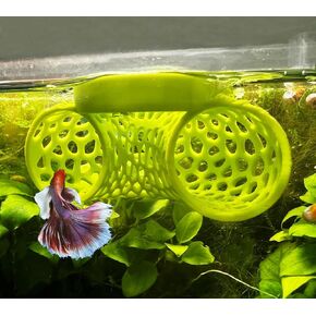 Floating Betta Tunnel for Betta Training. Interactive Training & Enrichment Toy for Betta Fish – Stress Relief & Exercise Accessory. Floating Betta Fish Toys.