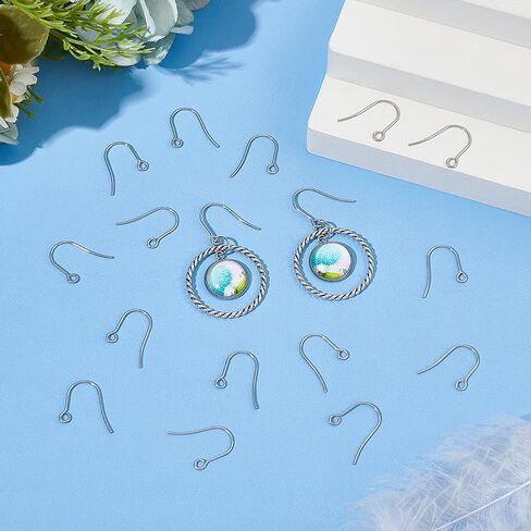 UNICRAFTALE 300Pcs Ear Wires 316L Surgical Stainless Steel Earring Hooks Metal Ear Wire with Horizontal Loop Earring Supplies for DIY Earring Jewelry Making 2mm Hole in Kuwait