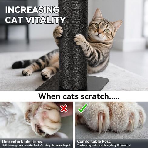 Kamaboko 29.5 "Cat Scratfer Post للقطط الكبيرة ، 7.5" قطرها فائقة القطر الطبيعية SISAL SCRATCH POST ، خدش القطط الطويل المقاوم للخدش للقطط الداخلية ، حماية أثاثك ، الأسود in Kuwait