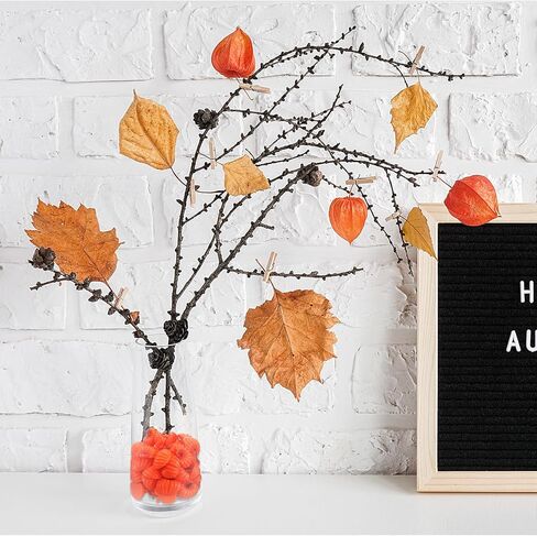 Leinuosen 60 Pcs Autumn Pumpkin Mini Flatback Resin Charms Thanksgiving Halloween Resin Embellishments Cabochons Decoration Accessories for Hair Clip Phone Case in Saudi Arabia