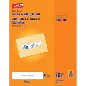 Staples 489561 Laser/Inkjet Address Labels 1-Inch x 4-Inch Bright White 20 Labels/Sheet