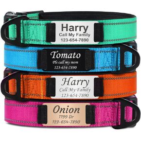 TagME Personalized Dog Collar with Name Plate, Custom Reflective Nylon Dog Collar, Soft Neoprene Padded, 12 Colors, 3 Fonts, Fits Medium Pets