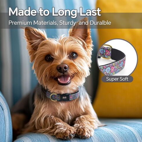QQPETS Reflective Dog Collar with Soft Neoprene Padded Breathable Nylon Pet Collar Adjustable for Small Medium Large Dogs in Kuwait