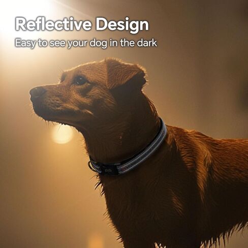 QQPETS Reflective Dog Collar with Soft Neoprene Padded Breathable Nylon Pet Collar Adjustable for Small Medium Large Dogs in Kuwait