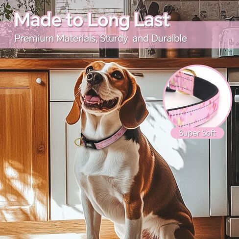 QQPETS Reflective Dog Collar with Soft Neoprene Padded Breathable Nylon Pet Collar Adjustable for Small Medium Large Dogs in Kuwait