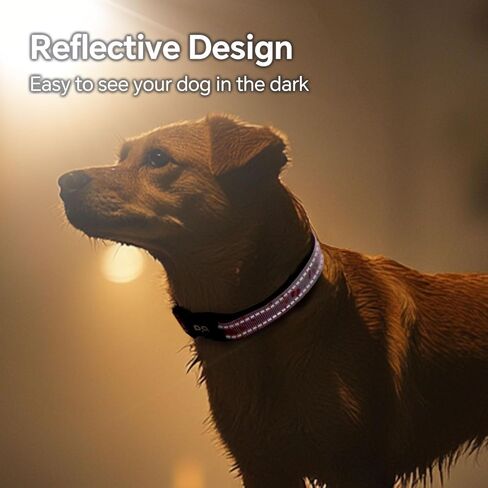 QQPETS Reflective Dog Collar with Soft Neoprene Padded Breathable Nylon Pet Collar Adjustable for Small Medium Large Dogs in Kuwait