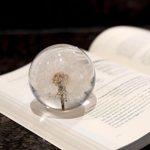 NouvoCrescent Real Dandelion Paperweight - Home Decor Crystal Ball Flower Globe 2.75in (70mm) - Dandelion Desk Decor Clear Resin Ball with Flat Bottom - Sphere Figurine Paper Weights Office Decor in Kuwait