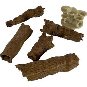 سجلات البلوط المجوفة مع الفطريات العملاقة - مجموعة التضاريس D&D - براون
