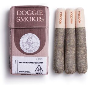 Nocciola Funny Squeaky Dog Toys, Cool Stuffed Plush Toys for Medium, Small and Large, Accessories for Dog Birthday