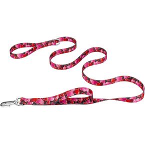 Country Brook Petz - Just Ducky Deluxe Reflective Dog Leash Collection Featuring Night Safe Designs (6 Foot, 1 Inch Wide)