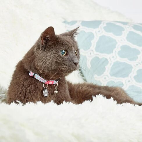 Max & Molly Fun & Whimsy Cat Collar with Jingle Bell, Breakaway Safety Buckle, Adjustable Sizing & Smart ID Personalized Tag for Girl or Boy Cats/Kittens, Retro Blue Boy Design in Saudi Arabia