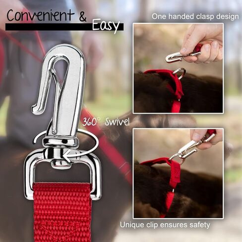 Country Brook Petz - Just Ducky Deluxe Reflective Dog Leash Collection Featuring Night Safe Designs (6 Foot, 1 Inch Wide) in Saudi Arabia