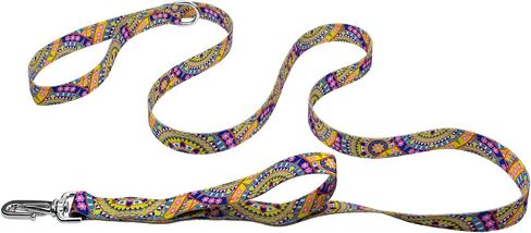 Country Brook Petz - Just Ducky Deluxe Reflective Dog Leash Collection Featuring Night Safe Designs (6 Foot, 1 Inch Wide) in Saudi Arabia