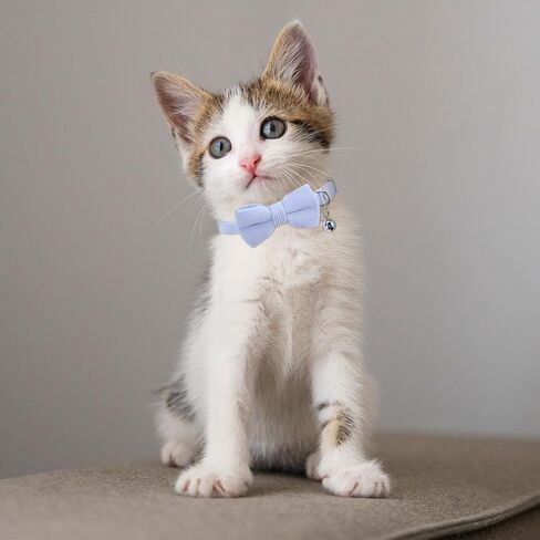 2 PCS طوق هريرة من كاتورووي ، طوق جرس القط مع ربطة عنق ، قابلة للإزالة قابلة للتعديل قابلة للتعديل الياقات هريرة هريرة للحيوانات الأليفة (الوردي والزرقاء الفاتحة) in Kuwait