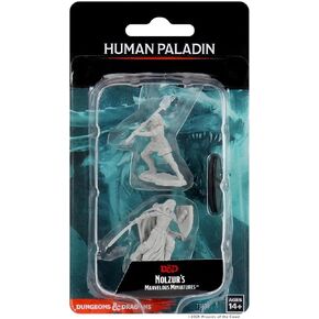 Nolzurs Marvelous Miniatures Wizkids - D&D Human Female Paladin - WZK73830