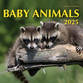 2025 Baby Animals Hangable Wall Calendar Cute Funny Animal Photo Gifts Puppy Dogs Kitten Zoo Photography Large Months Learning for Her Kids Boys Girls (2025 Baby Animals)