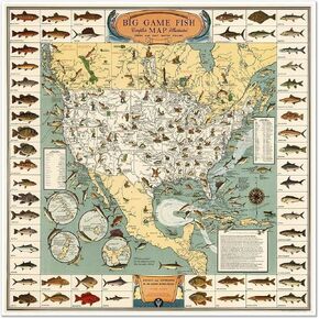 Vintage Big Game Fish Map of North America, Illustrated Fresh and Salt Water Fishing Guide, Decorative Wall Art Print (24 x 24 inches)