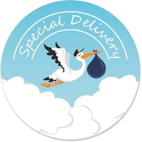 Big Dot of Happiness Boy Special Delivery - Blue It’s A Boy Stork Baby Shower Circle Sticker Labels - 24 Count