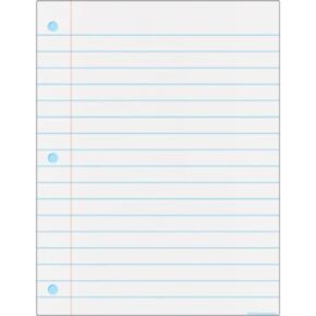 Teacher Created Resources Notebook Paper Write-On/Wipe-Off Chart