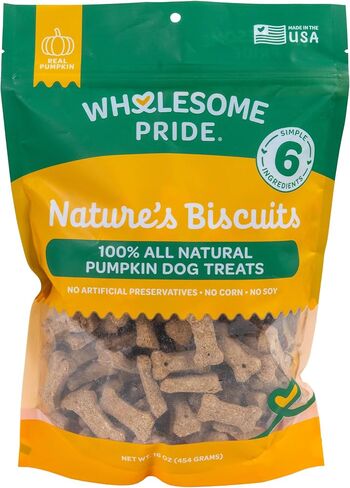 Wholesome Pride Nature's Biscuits Mini Dog Treats, Pumpkin in Saudi Arabia