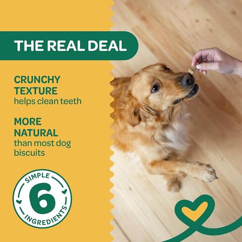 Wholesome Pride Nature's Biscuits Mini Dog Treats, Pumpkin in Saudi Arabia
