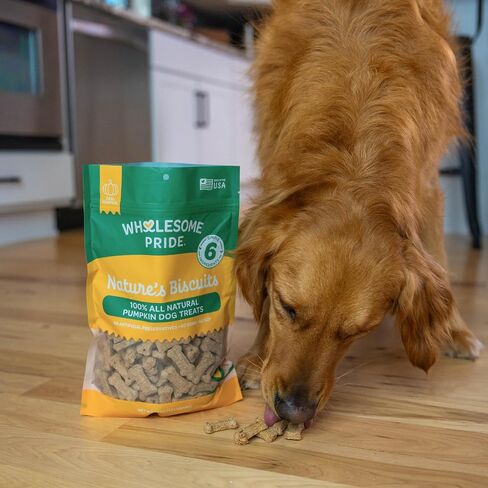 Wholesome Pride Nature's Biscuits Mini Dog Treats, Pumpkin in Saudi Arabia