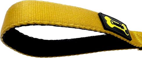 Metal Dog Leash for Small Medium Large Dogs, Chain Link Anti Chew 3.5-4FT Strong Anti Bite Dog Leash Comfortable and Breathable mesh Cushion Handle (Rainbow Color, M) in Saudi Arabia