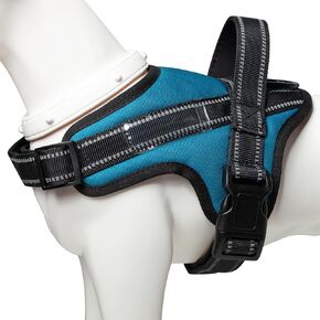 Essential Dog Harness, Pet Vest with 2 Adjustable Strap, No Choke, Reflective, Padded, for Easy Walking and Training for Small, Medium and Large Dogs(Orange,S)