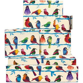 CENTRAL Animal Wrap - 6 Sheets & Tags - Bird Wrapping Paper for Kids & Adults - Recyclable - With Stickers