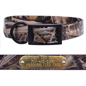 1" Mossy Oak D Ring Dog Collar with Custom Brass Name Plate with 3/4" Tag (18")