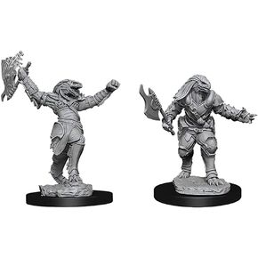 WizKids D&D Nolzurs Marvelous Upainted Miniatures: Wave 11: Female Dragonborn Fighter