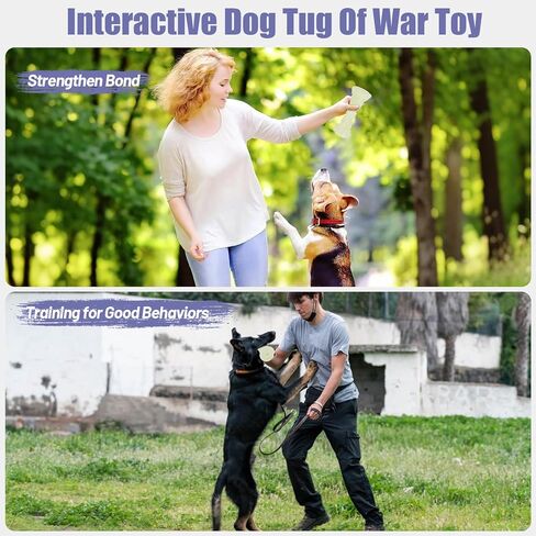 لعبة الكلاب غير القابلة للتدمير للمضغ العدوانيين in Kuwait