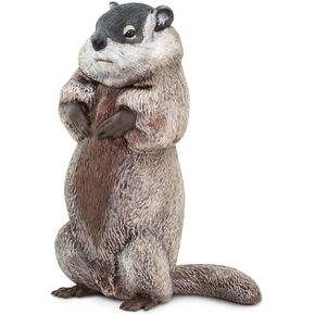 Safari Ltd. Groundhog - Lifelike 4.5" Model Figure - Educational Toy for Boys, Girls and Kids Ages 18 Months +
