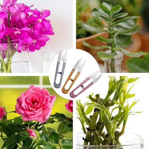 3 حزمة 4.25 بوصة مقص لوازم الخياطة مقص مقص صغير من أجل الغرز ، مستلزمات DIY ، مقص الغزل ، مقص صغير ، أدوات بونساي (3 ، ألوان متعددة) in Kuwait