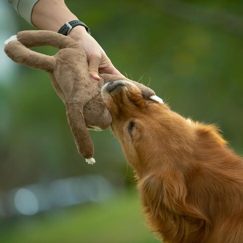 Squeaky Disk & Built-in Rope Dog Plush Toy, Bustling Safari Collection, 15", for Dogs of All Breeds (Sloth) in Kuwait
