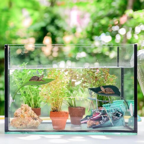 BEWUDY 3PACK TURTLE TANK Accessories ، ملحقات خزان Gecko Crested ، زخارف أوراق مع أكواب الشفط ضفدع الموائل منصة تسلق الجدار Gecko Toy reptile leaf malonging decoration in Kuwait