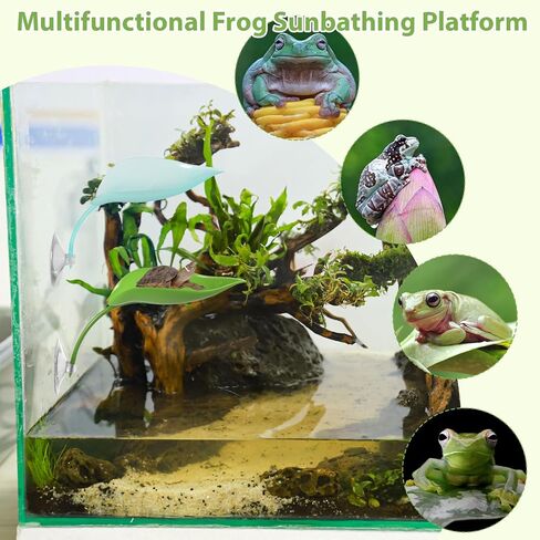BEWUDY 3PACK TURTLE TANK Accessories ، ملحقات خزان Gecko Crested ، زخارف أوراق مع أكواب الشفط ضفدع الموائل منصة تسلق الجدار Gecko Toy reptile leaf malonging decoration in Kuwait