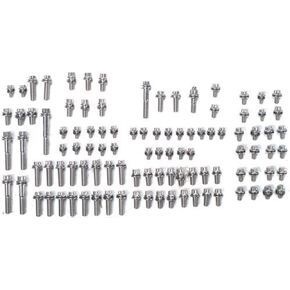 ARP 5359601 Stainless 300 Hex Engine & Fastener Kit