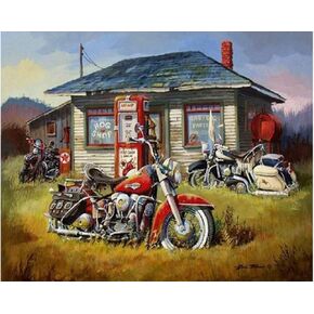DIY Paint by Numbers for Adults Beginner,Motorcycle on The Grass outside The House 16x20 inches Number Painting Home Decoration Crafts (No Frame)