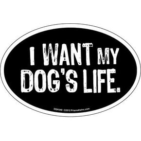 Cat and Dog Magnets, I Want My Dog's Life, Black