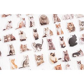 90 جهاز كمبيوتر صغير ملصقات CAT CAT SMAHE للمذكرات ، المخطط ، سجل القصاصات ، الألبوم ، دفتر ملاحظات ، مجلة (قطة أسود) in Kuwait