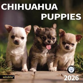 windrio 2026 Wall Calendar, Calendar 2026, July 2025 - December 2026, Wall Calendar Chihuahua Puppies, 12" x 24" Opened,Full Page Months Thick & Sturdy Paper for Calendar Organizing & Planning