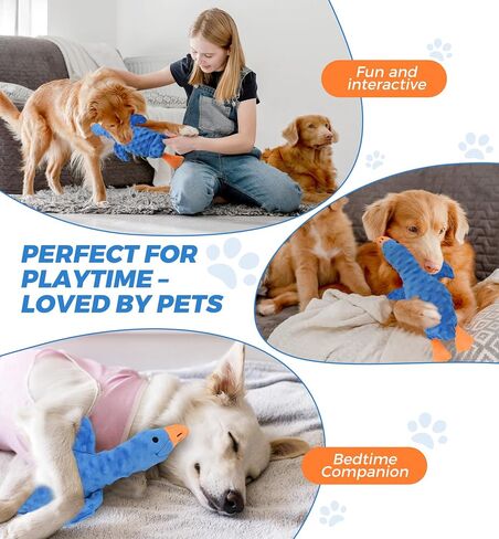 Squeaky Plush Dog Toy for All Breeds, Multifunctional Goose Dog Toy with Honking Sound, Crinkle Paper, Treat Pocket, Durable Soft Stuffed Animal for Chewing, Cuddling, Interactive Play (Blue) in Kuwait