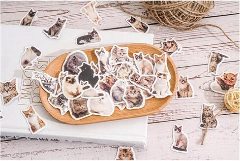 90 جهاز كمبيوتر صغير ملصقات CAT CAT SMAHE للمذكرات ، المخطط ، سجل القصاصات ، الألبوم ، دفتر ملاحظات ، مجلة (قطة أسود) in Kuwait