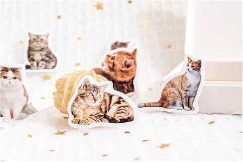 90 جهاز كمبيوتر صغير ملصقات CAT CAT SMAHE للمذكرات ، المخطط ، سجل القصاصات ، الألبوم ، دفتر ملاحظات ، مجلة (قطة أسود) in Kuwait